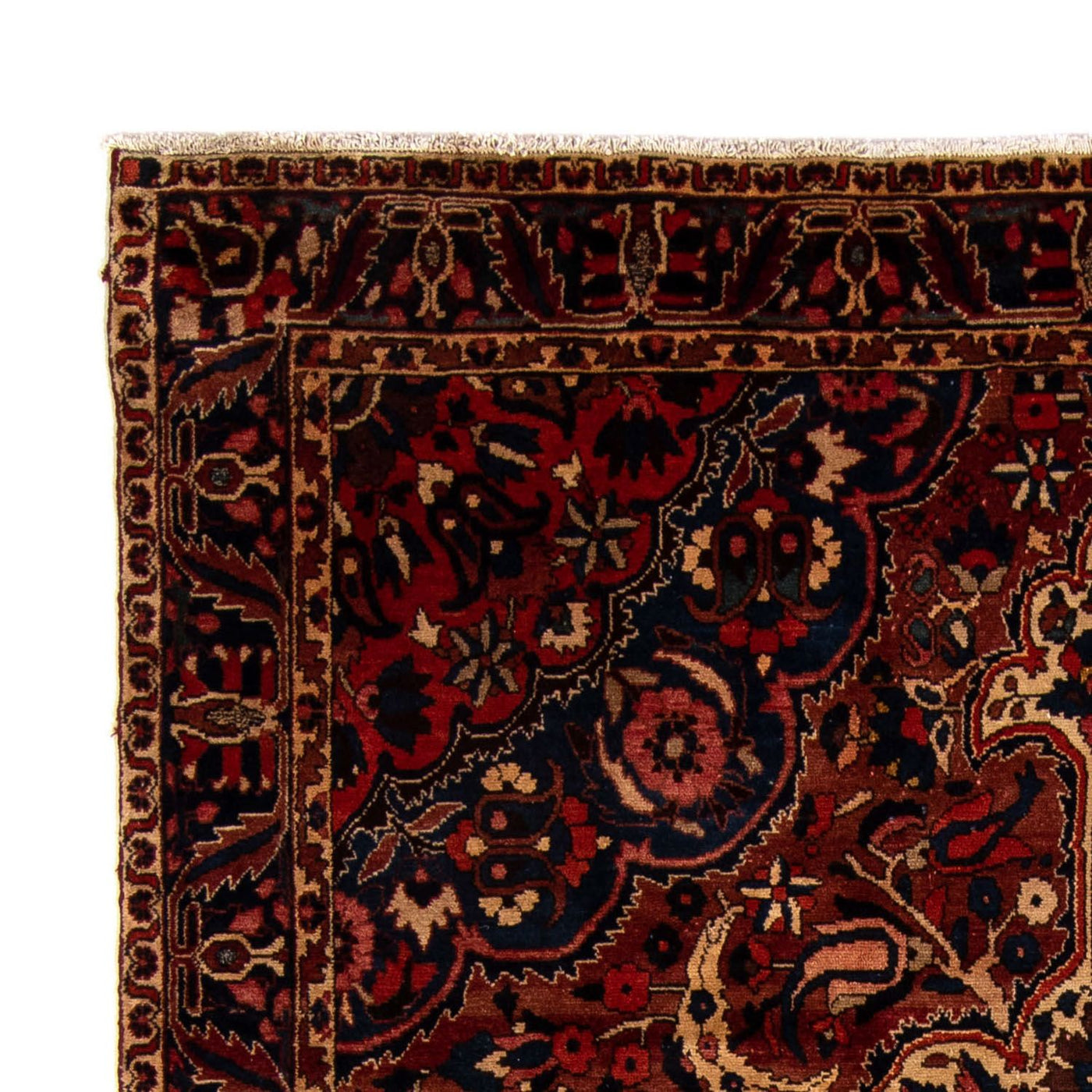 Tapis Bakhtiari Tapis 342x224cm - Tapis persan