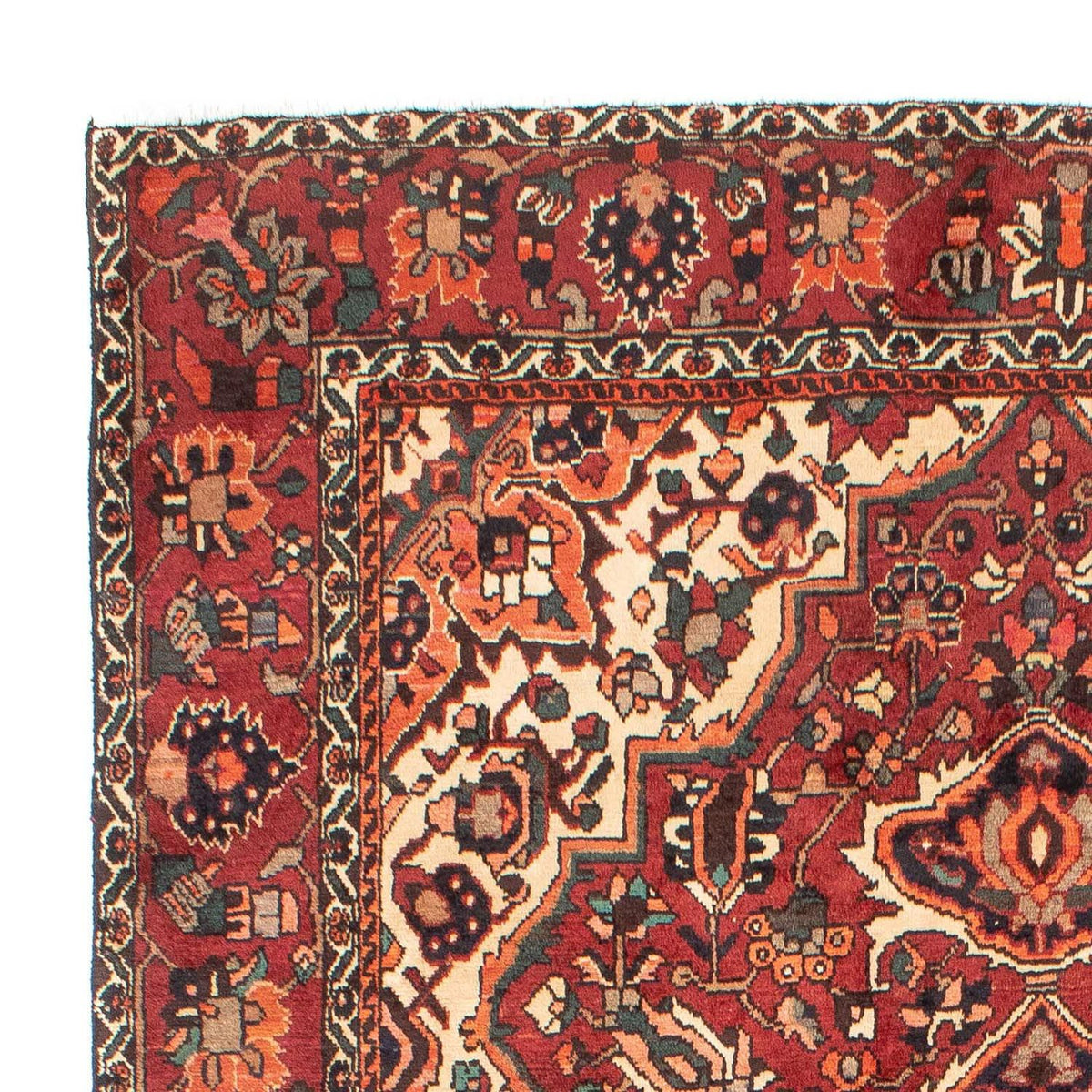 Tapis Bakhtiari Tapis 202x295cm - Tapis persan