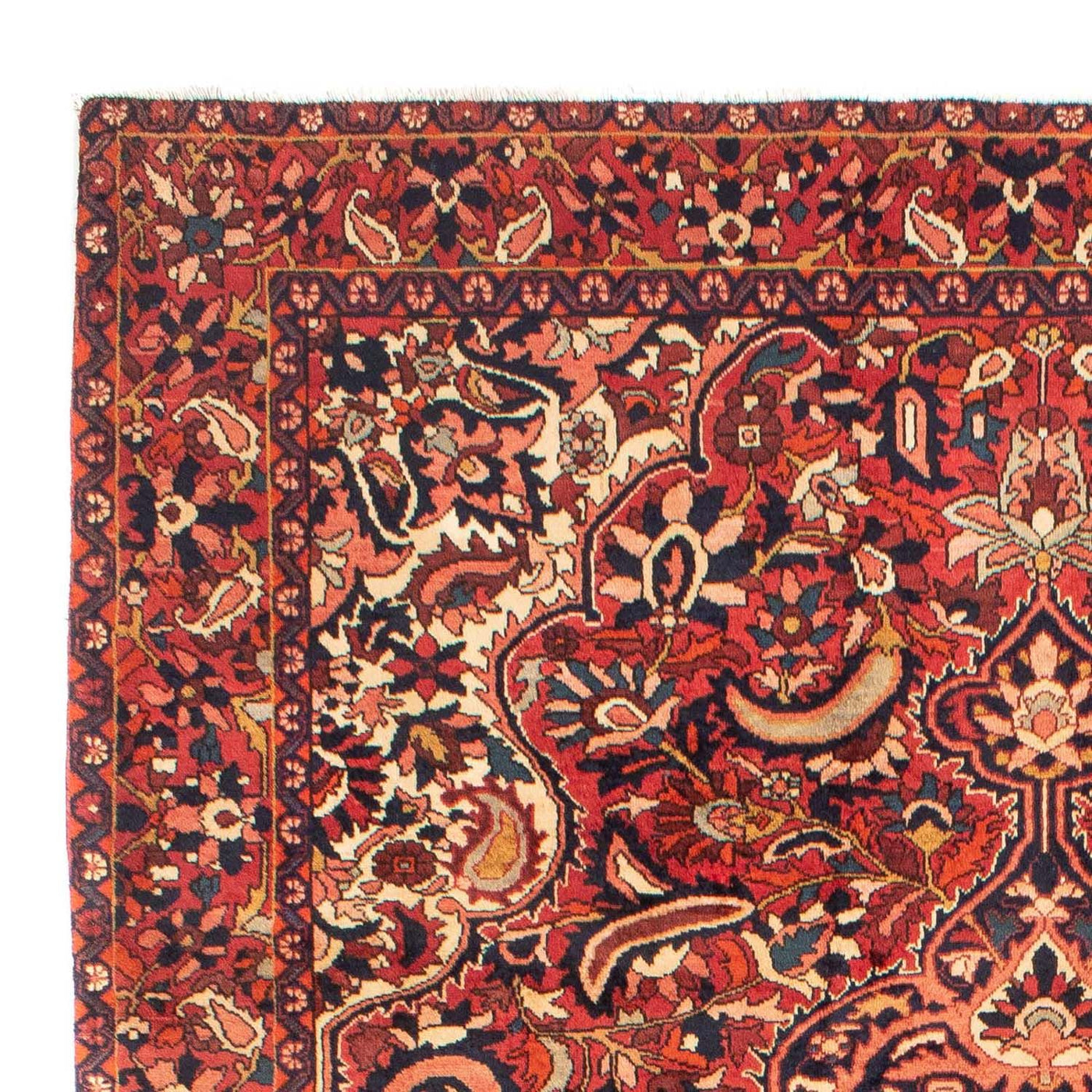 Tapis Bakhtiari Tapis 313x213cm - Tapis persan