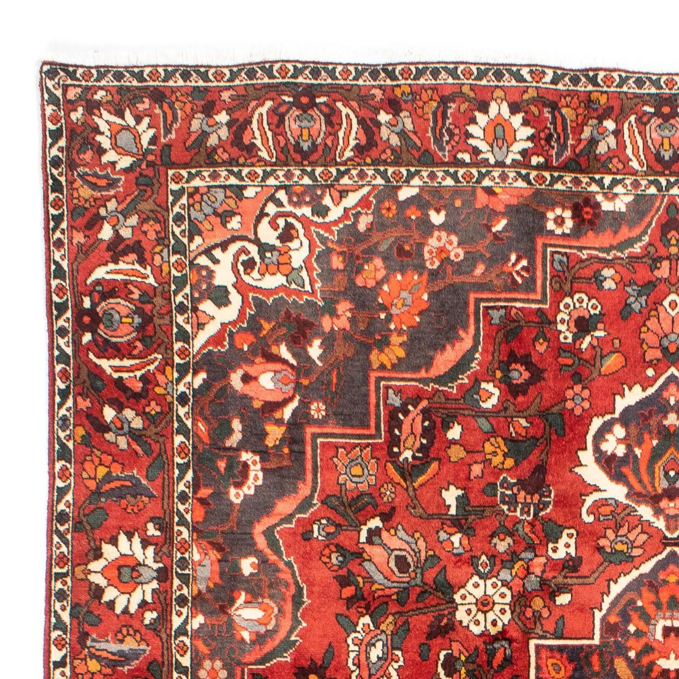 Bachtiar Teppich 300x207cm - Perserteppich