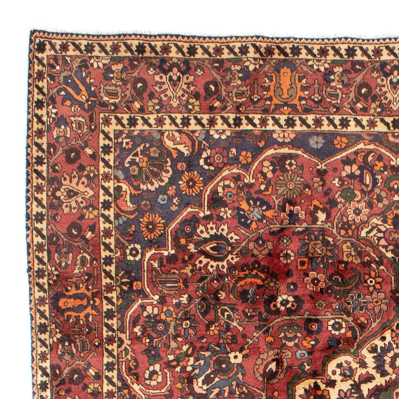 Tapis Bakhtiari Tapis 305x211cm - Tapis persan