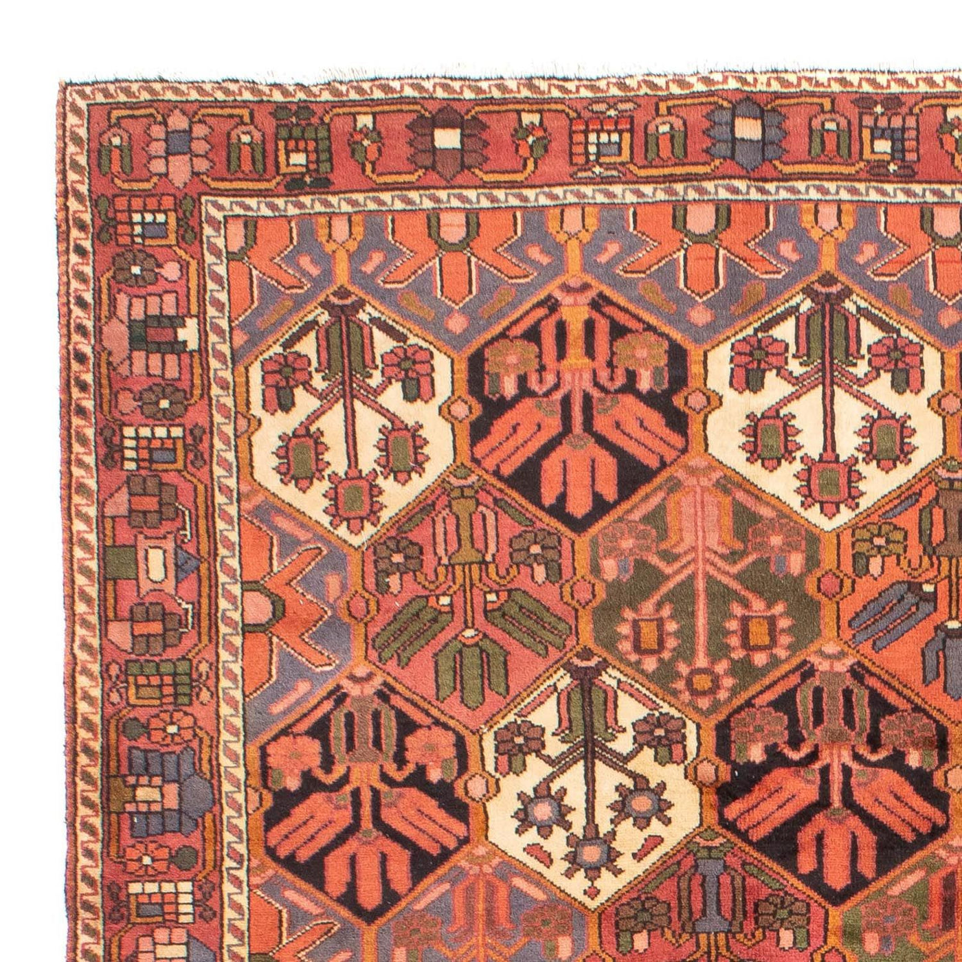 Tapis Bakhtiari Tapis 297x205cm - Tapis persan