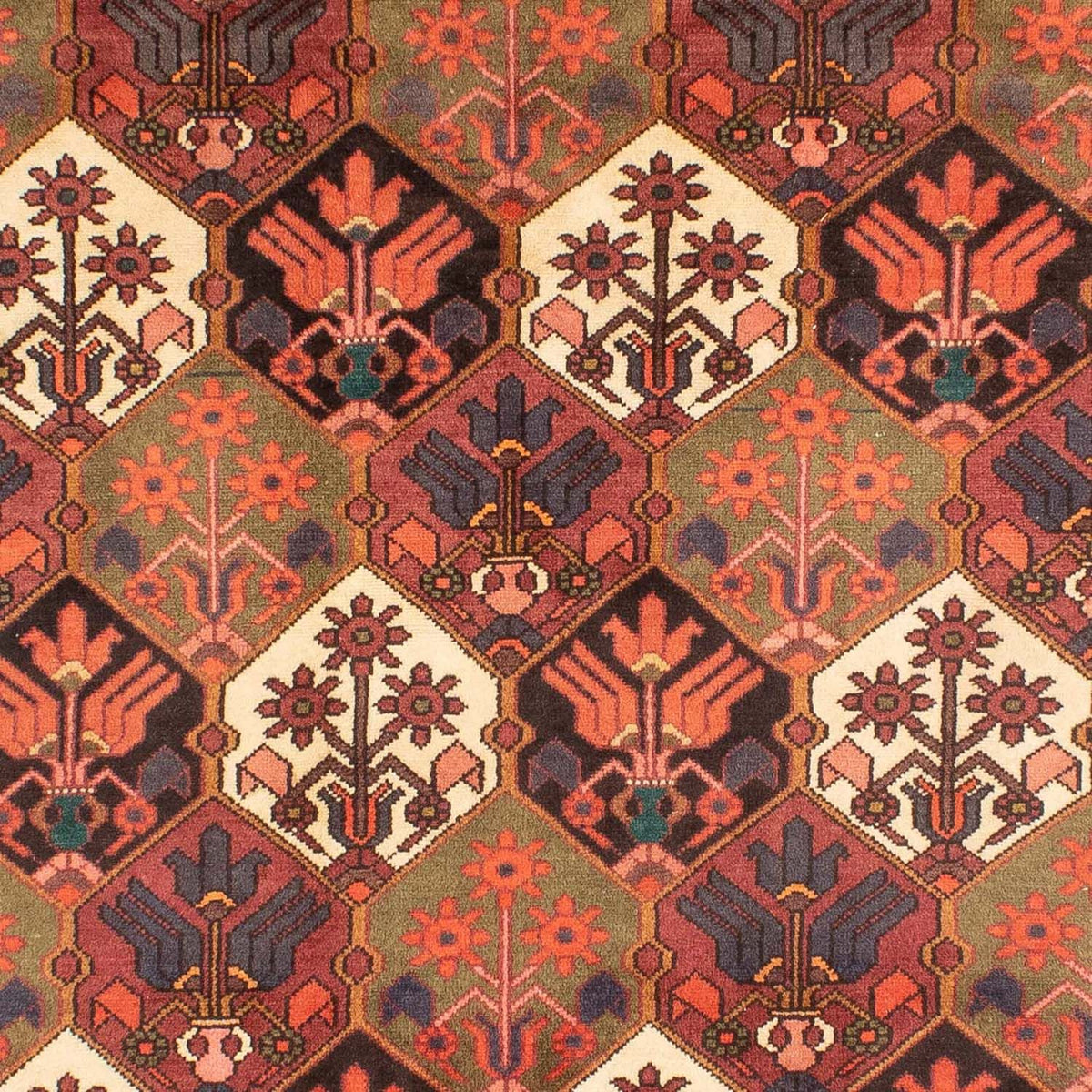 Perserteppich - Nomadic 287 x 207 cm - braun