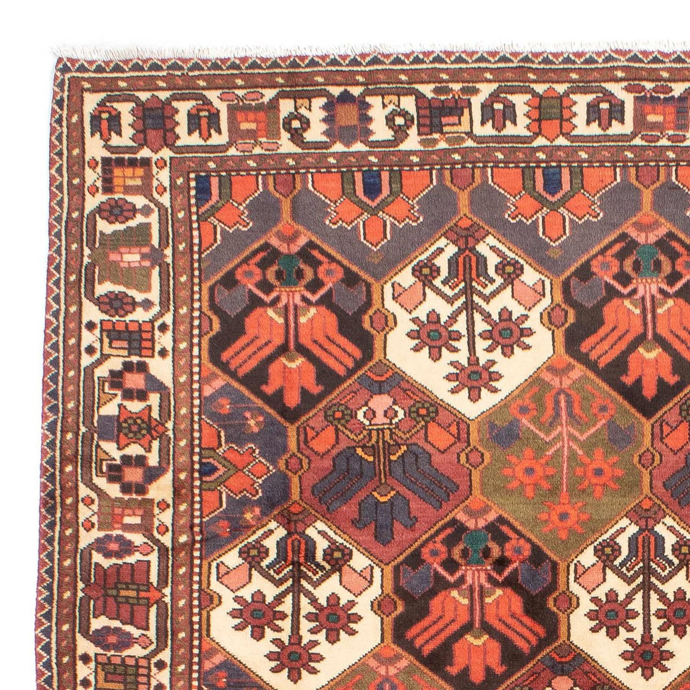 Tapis Bakhtiari Tapis 287x207cm - Tapis persan