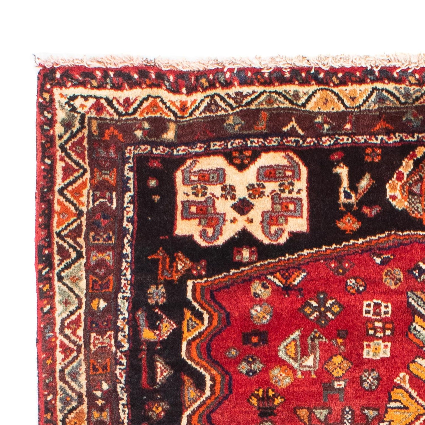 Shiraz Tappeto 160x105cm - Tappeto persiano
