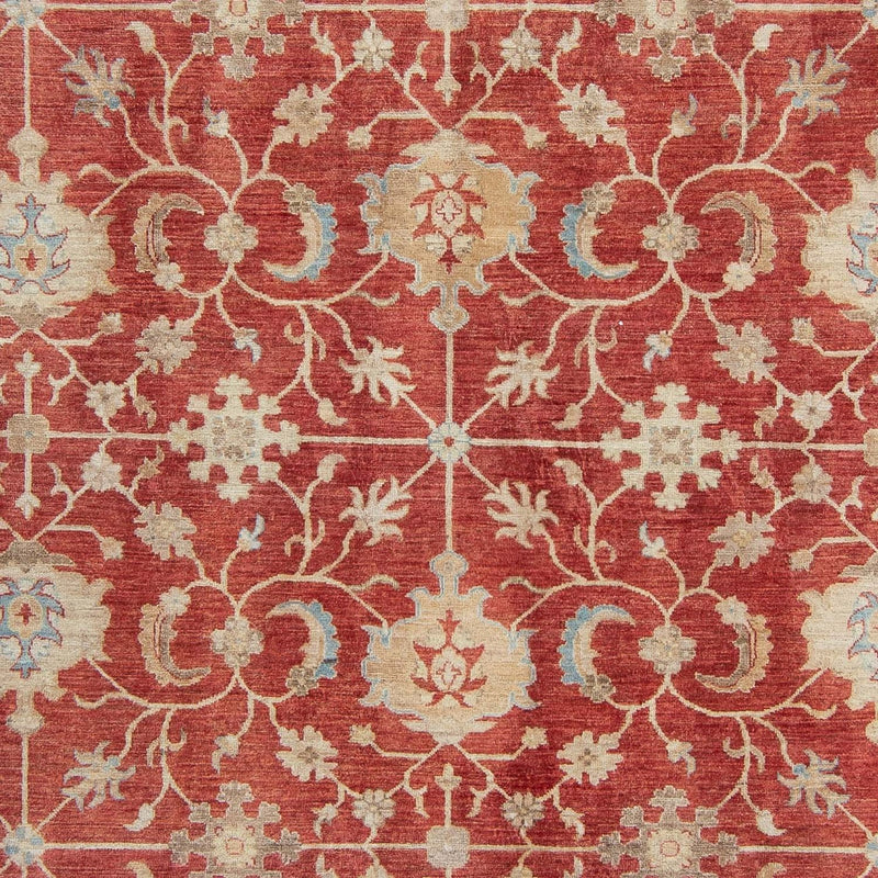 Ziegler Teppich 318 x 244 cm