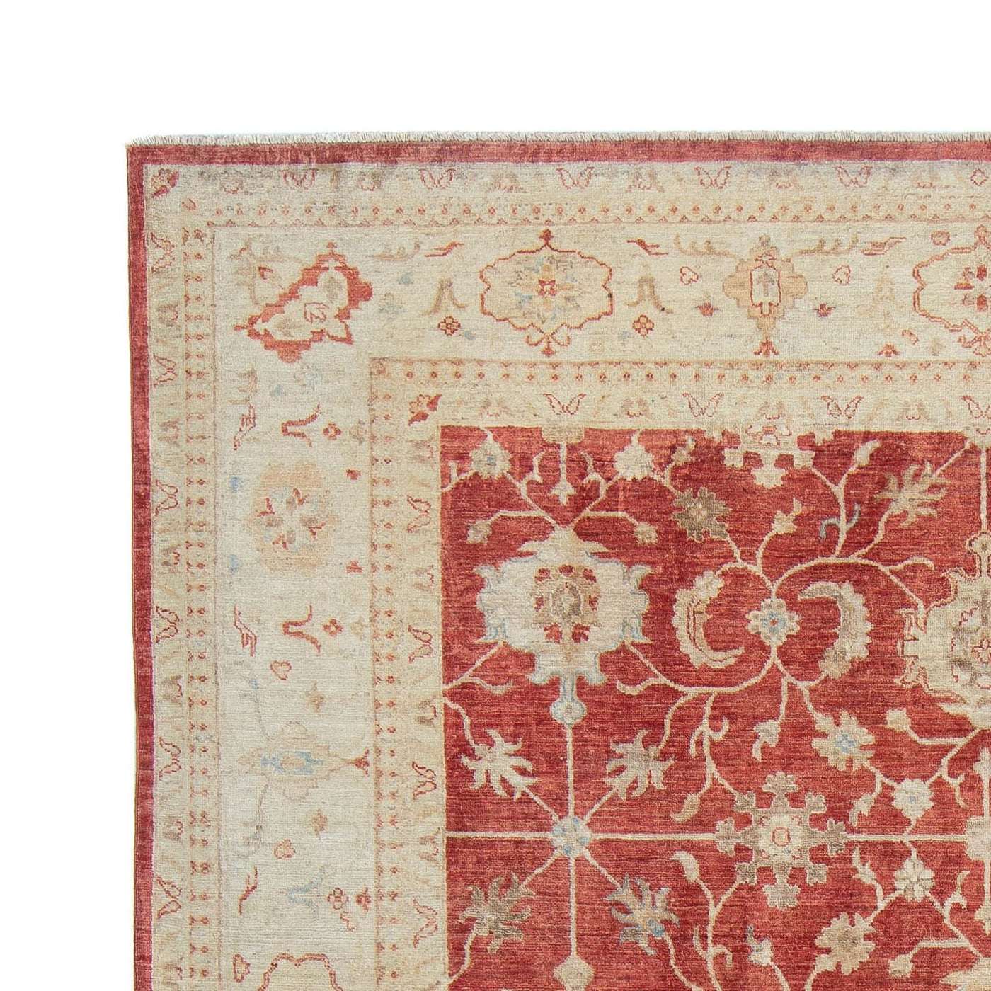 Tapis Ziegler 318x244cm - Tapis oriental
