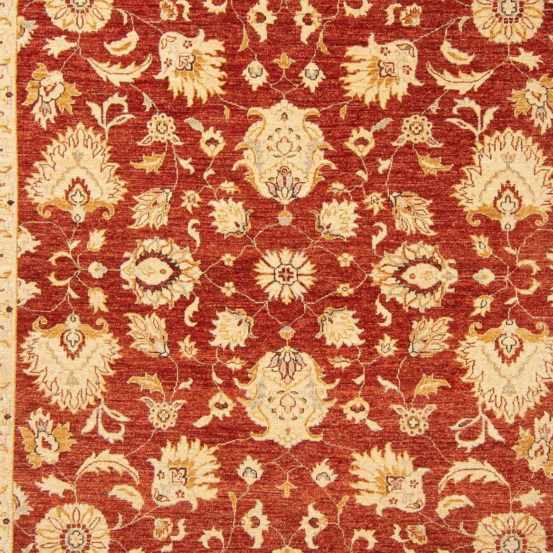 Ziegler Teppich 350 x 277 cm