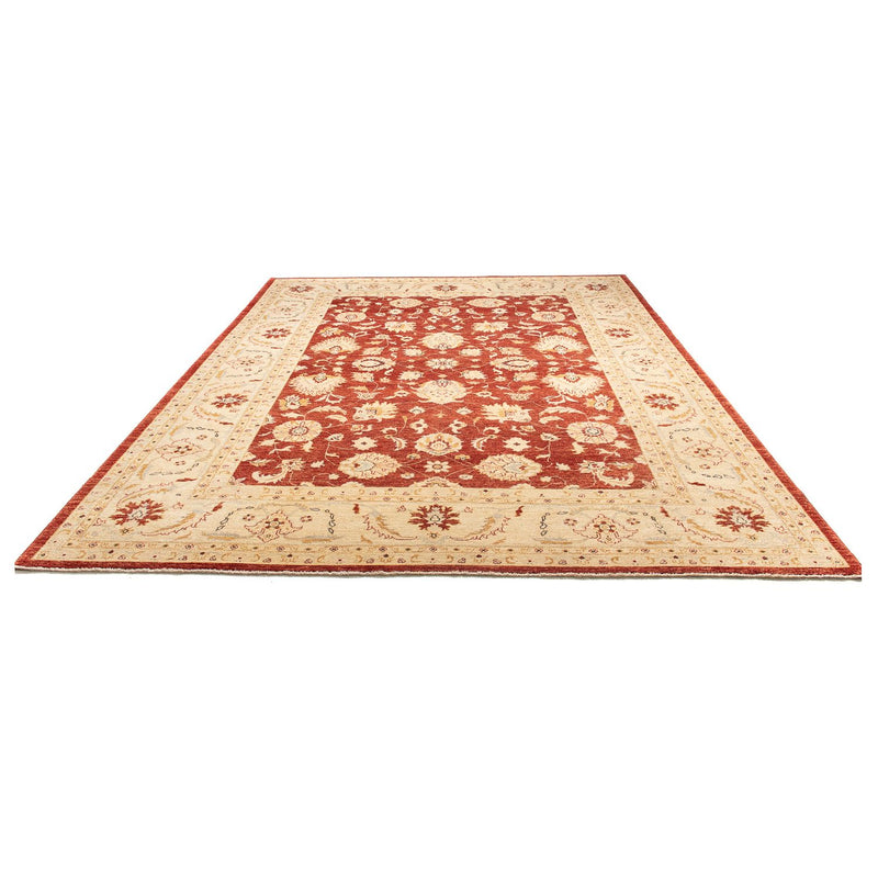 Ziegler Teppich 350 x 277 cm