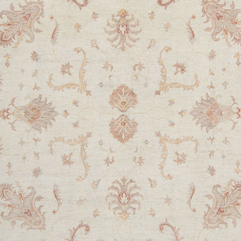 Ziegler Teppich 358 x 248 cm