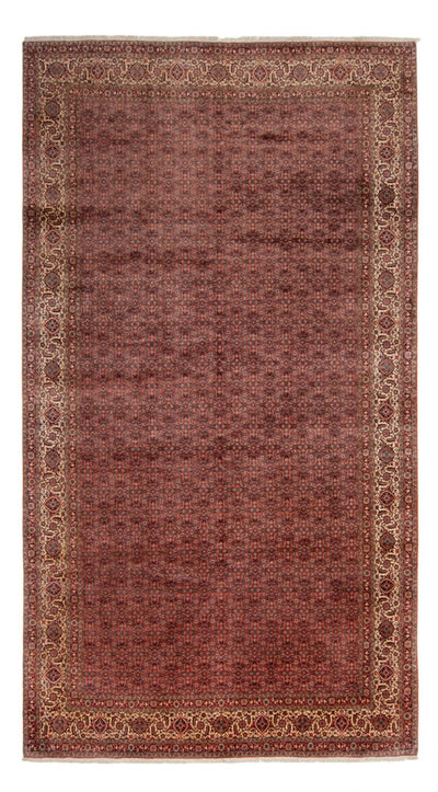 Bidjar - Takab Teppich 256x482cm - Perserteppich