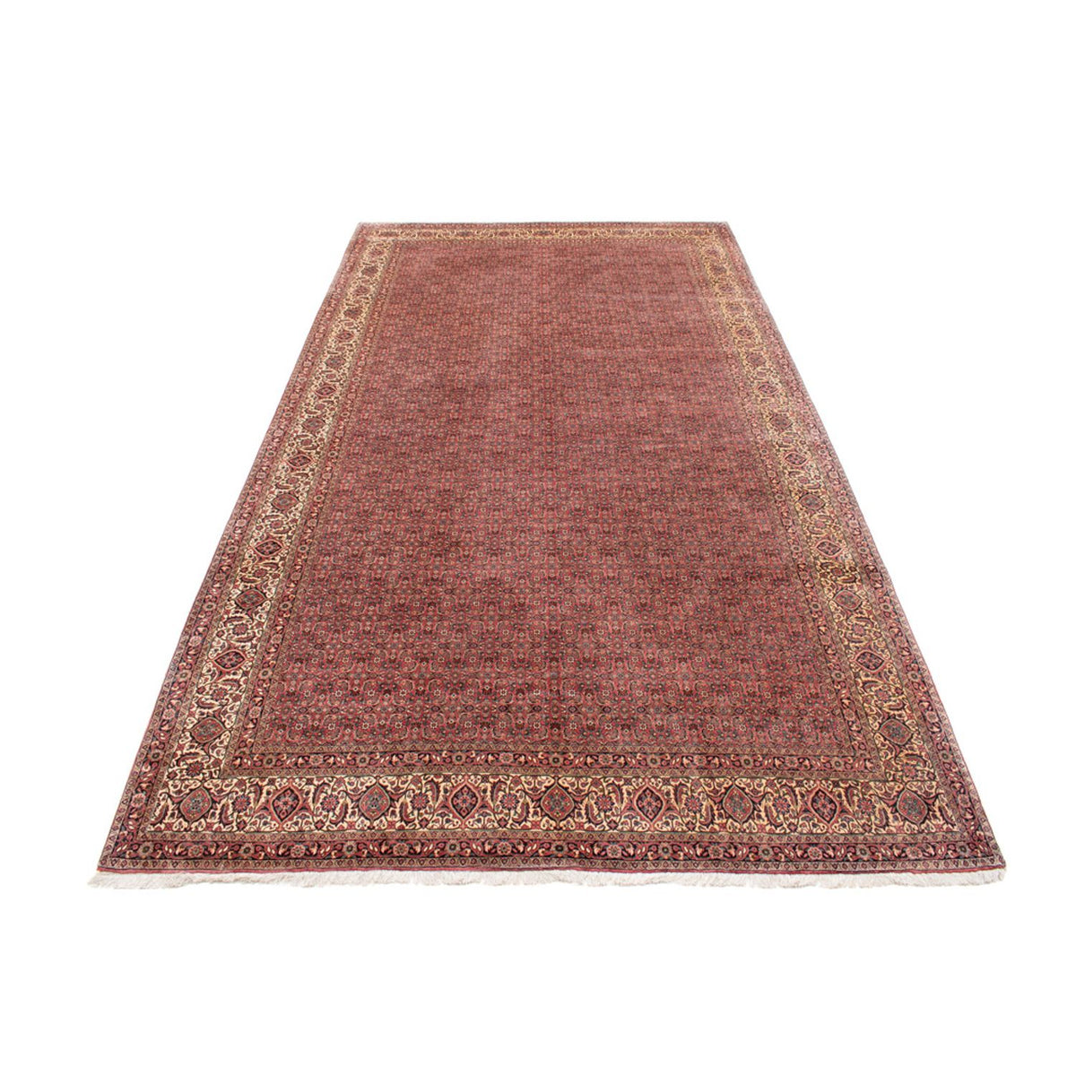 Tapis persan - Bidjar - 482 x 256 cm - marron