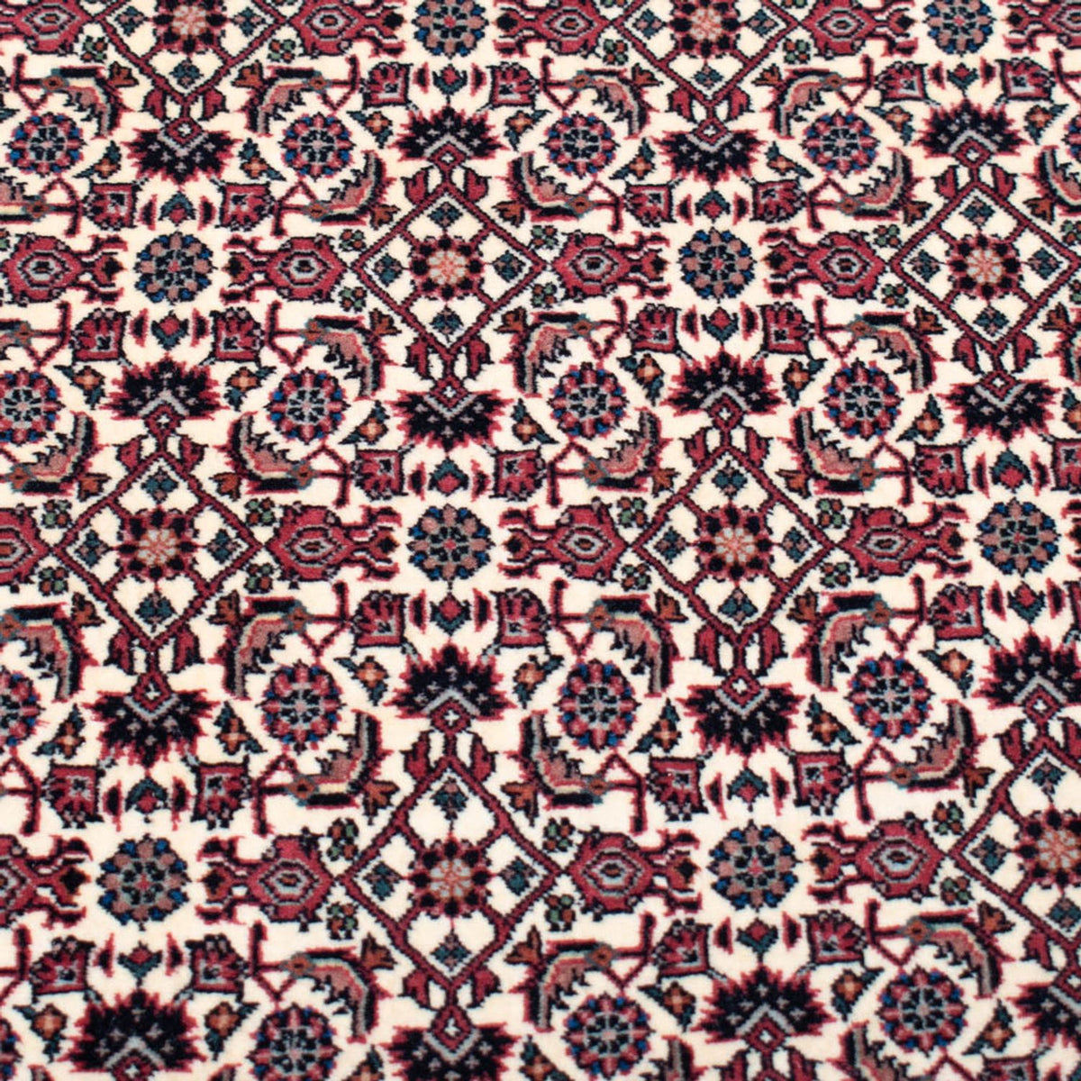 Perserteppich - Bidjar - Royal quadratisch  - 366 x 348 cm - beige