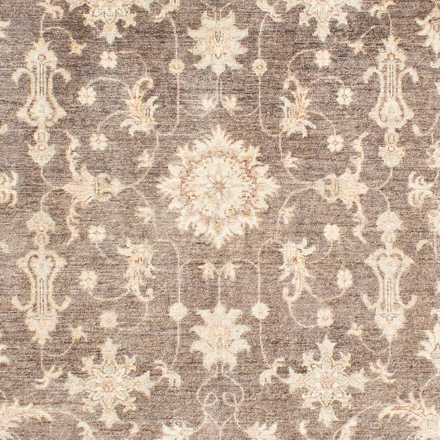 Ziegler Teppich 236 x 166 cm