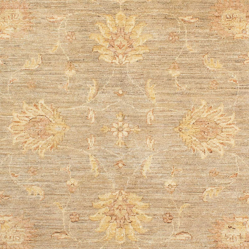 Ziegler Teppich 241 x 175 cm