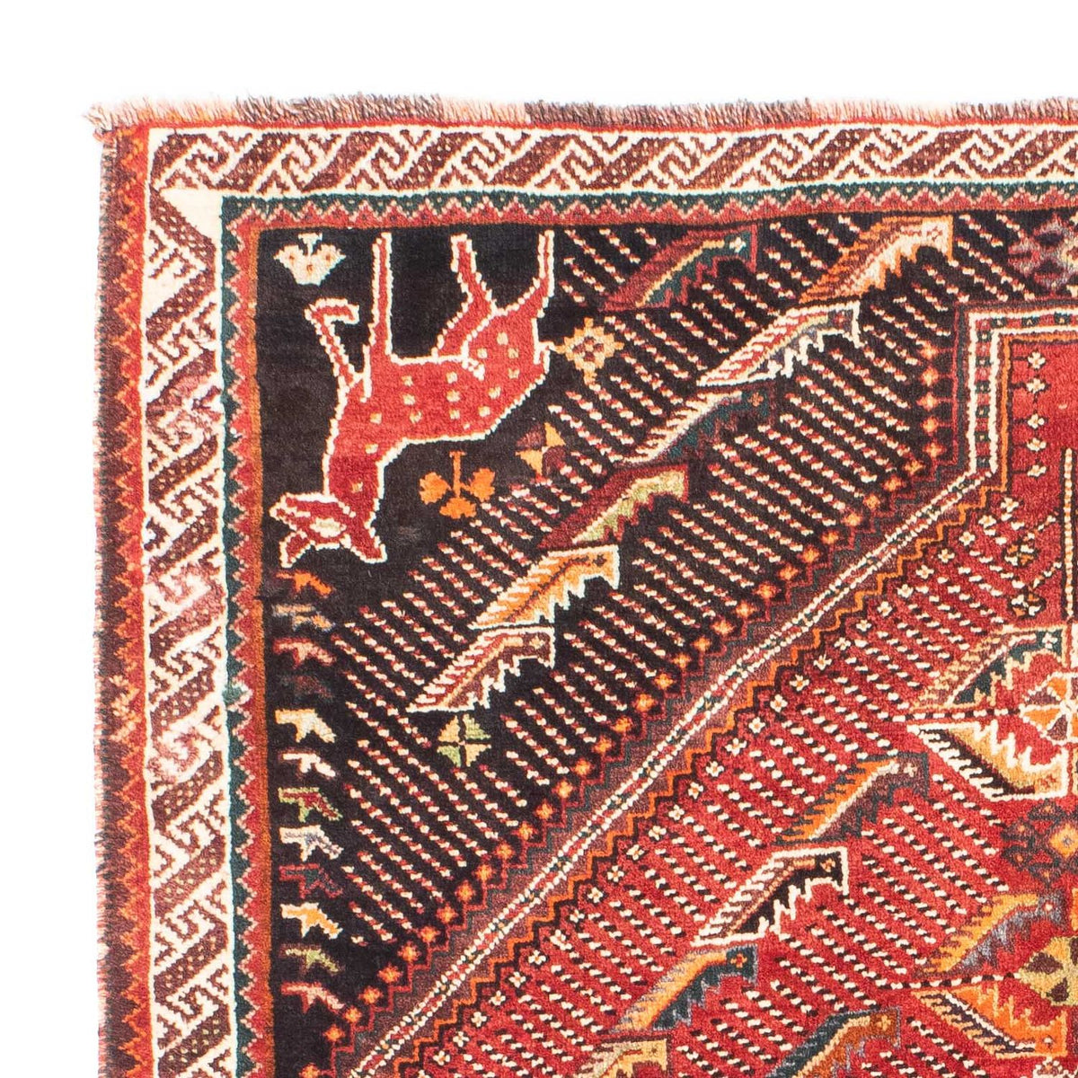 Shiraz Tappeto 127x167cm - Tappeto persiano