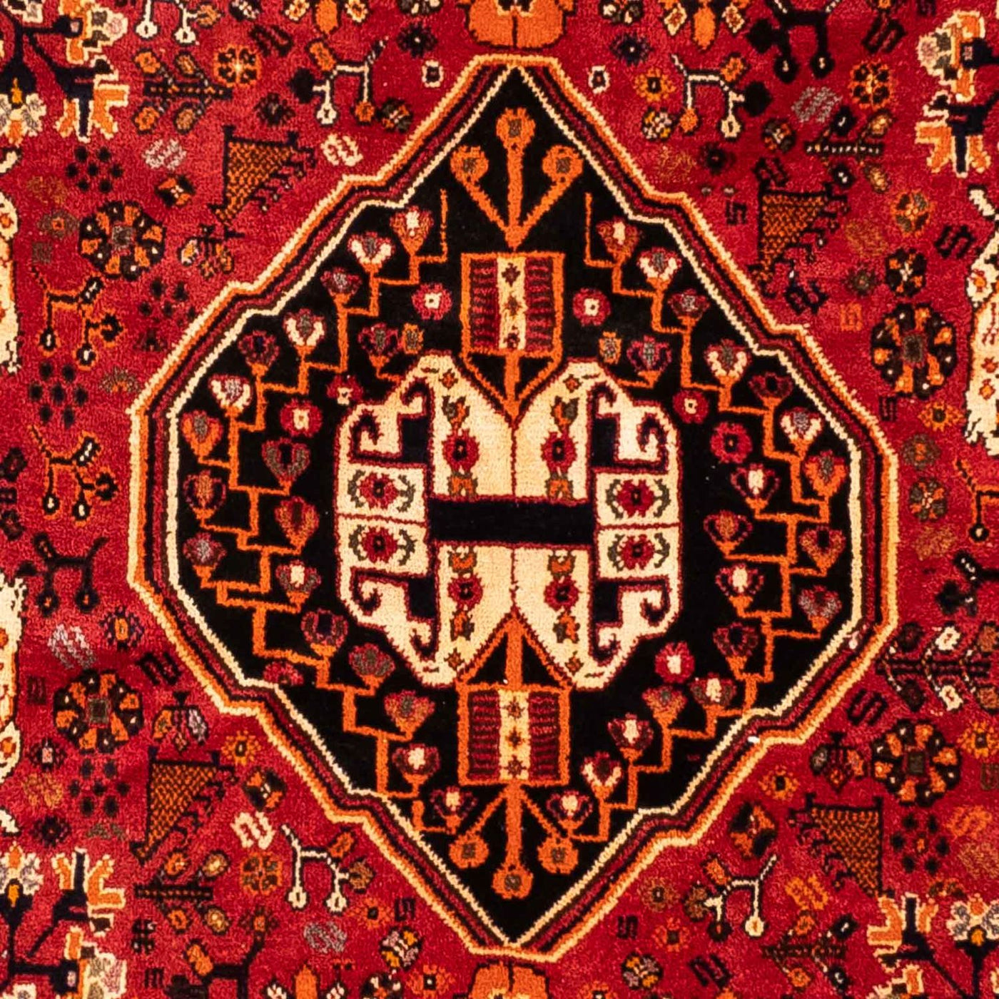 Tapis de Chiraz Tapis 248x160cm - Tapis persan