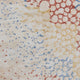 Designer Teppich 236 x 165 cm
