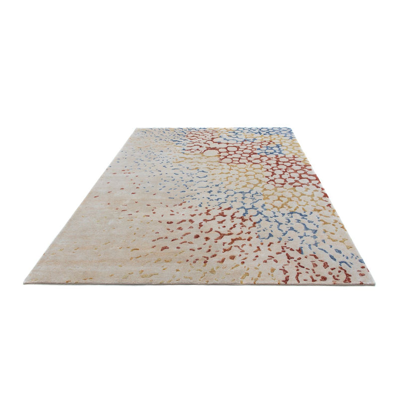 Designer Teppich 236 x 165 cm