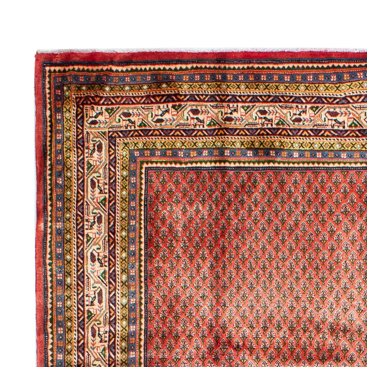 Mir Tappeto 310x215cm - Tappeto persiano