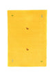 Gabbeh Teppich Agra - Wollteppich